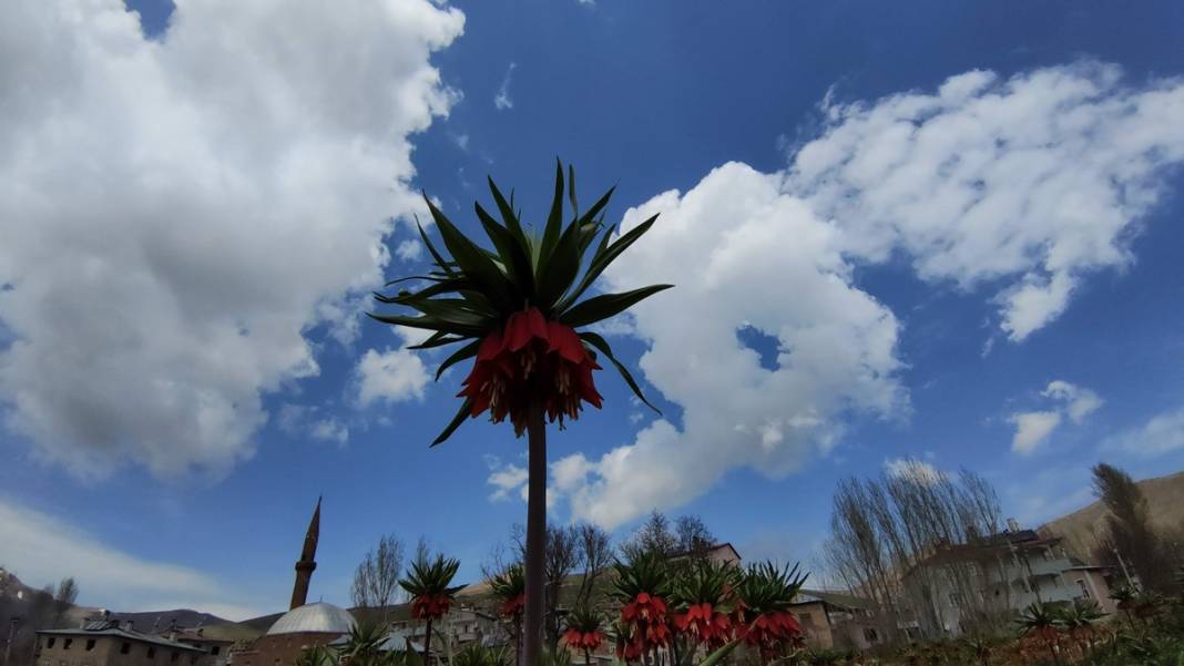 Bu insanlar neye bakıyor? Gece-gündüz nöbet tutuyorlar, ilk kez görenler şaştı kaldı! 45